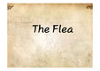 The Flea