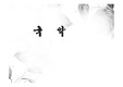 관광마케팅 - 국악 (A+자료)