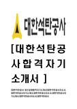 [대한석탄공사-청년인턴최신공채합격자기소개서]대한석탄공사자소서,대한석탄공사자기소개서,대한석탄공사자소서,대한석탄공사자기소개서,대한석탄공사자소서,대한석탄공사