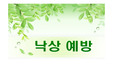 낙상ppt