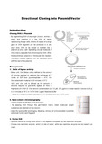 cloning of foreign DNA into plasmid