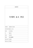 촉매와 효소 반응