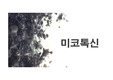 곰팡이.ppt