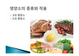 영양소의 종류와 작용