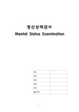 정신상태검사 MSE