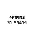 순천향대학교병원 자기소개서, 순천향대병원 자기소개서, 자기소개서, 간호사 자기소개서, 신규간호사 자기소개서, 순천향대학교 간호사