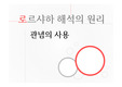로르샤하 해석의 원리 - 관념의 사용