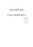 C-sec 간호진단 케이스