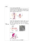 심장질환 관련 약어정리(CAG,PTCA,PCI,PTA,CABG,STEMI,NSTEMI,RFCA,AF,CK-MB)