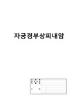 모성) 자궁경부상피내암  자궁목상피내종양