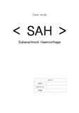 SAH(지주막하출혈, subarachnoid hemorrhage) 문헌고찰, 간호과정