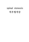척추협착증(spinal stenosis) 간호과정3개