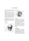 분장과 인체