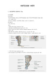 성인간호학 수술실간호 vericose vein (EVLT) 수술과정