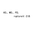 ACL, MCL, PCL rupture시 간호