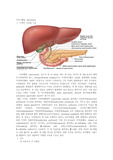 췌장, 이자, pancreas, 췌장암