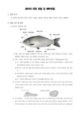 [동물비교해부학실험]붕어의 외형 관찰 및 해부관찰