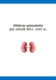 APN(Acute pyelonephritis) 급성 신우신염 케이스 스터디 A+ # 신우신염 케이스 스터디, 급성 신우신염 간호과정, 급성 신우신염 case, APN 케이스, APN CASE