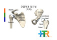 건강운동관리사 실기 시험 완벽 대비 근골격계 검진번(하지편 - 고관절, 무릎관절, 발목관절)