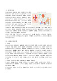 APN 간호과정