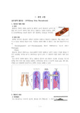 심부정맥혈전증 성인