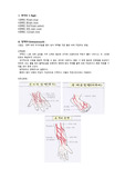 투약간호(정맥주사)