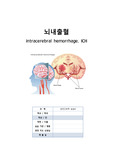 뇌내출혈 간호과정