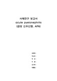 A+(급성신우신염(APN))case케이스 자료입니다.