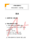 [국제사회복지] 국제사회복지 기본개념