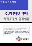 2021년 CJ대한통운 공채 자기소개서 실전예문 - 이력서컨설턴트 첨삭 CJ대한통운 합격자소서, 지원동기 첨삭항목, 대한통운 자기소개서