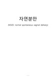 (여선간호학)여성간호학 분만실실습, 자연분만CASE STUDY 문헌고찰과 간호사정&진단2개