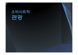 소비사회학 관광,관광문헌,관광객의 시선,탈관광객,반관광객