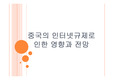 중국의 인터넷규제로 인한 영향과 전망