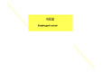식도암 PPT