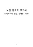 노인간호학 과제, 노인복지의 현황, 문제점, 과제