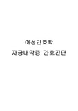 자궁내막증 간호진단