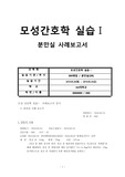 모성간호학 실습 분만실 실습 케이스스터디 간호과정 A+레포트