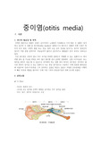 (성인간호)중이염의 간호사정 및 진단(17년 5월)