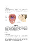 성인간호학4_편도염_문헌고찰