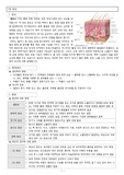 A+ 성인실습 화상 Case Study 간호진단4개