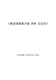 환경영향평가에 관한 레포트