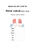 신결석 케이스(Renal calculi)/간호진단 2개, 간호과정 2개