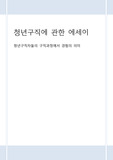 (A+ 받은 리포트) 청년 구직자 진로결정과정과 구직실패