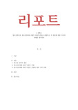 청소년복지론 - 청소년문화에 대한 다양한 관점을 설명하고 각 관점에 대한 자신의 견해를 제시하라
