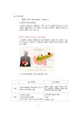 만성췌장염 문헌고찰입니다
