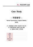 여성간호학 자연분만 문헌고찰, 간호진단5개, 간호과정3개