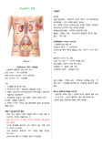 수문사 아동간호학 비뇨생식기,호흡기계 파트 시험요약본