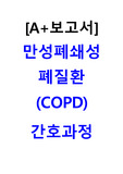 [A+] COPD 간호과정, 간호진단 4개, 간호중재