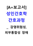 A+ 보고서 감염위험성, 피부통합성장애 간호과정, 간호중재
