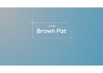 기초영양학 brown fat 발표자료